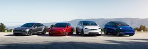 EU - Alle Modelle Tesla Archivfoto